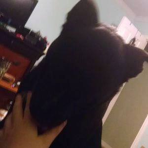 Meet your Posher, Wendy